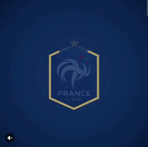 équipe De France Logo GIF
