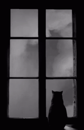üzgün Bulut GIF. This 322 x 498 animated GIF is part of our sad tumblr collection. Created by Yigitefe. View the original animation, share it, or browse…