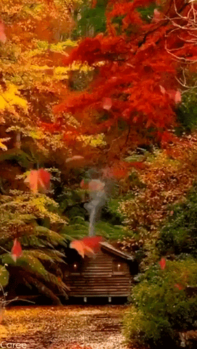 őszi Kuckó GIF. This 281 x 498 animated GIF is part of our folhas de outono caindo collection. Created by lamiancsusz17bubu. View the original animation…