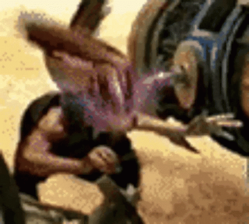 ααααα Aaaaaaa GIF