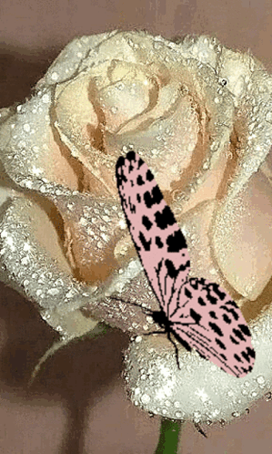 лето GIF