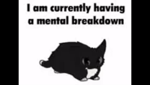 максвелл кот GIF