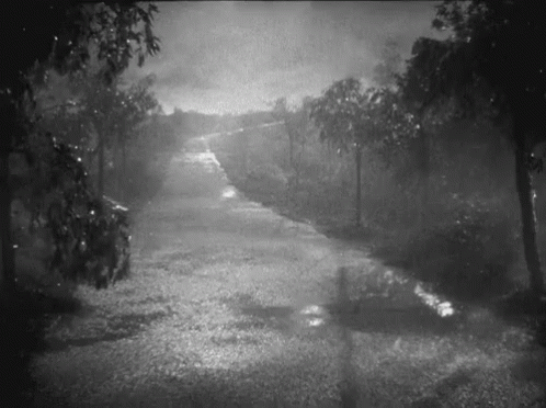 мокро ливень гроза лужи GIF. This 498 x 372 animated GIF is part of our lustiges gewitter collection. View the original animation, share it, or browse…