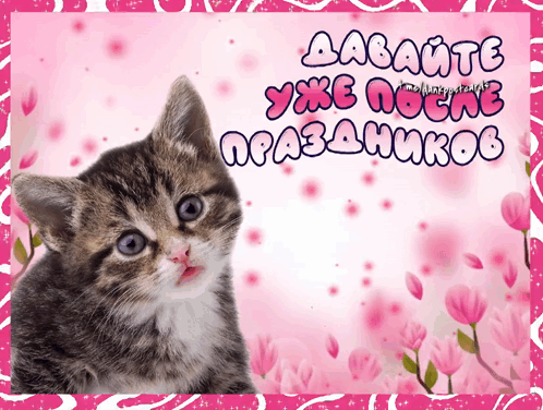 открытка праздник GIF
