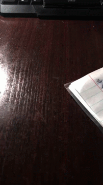 пташко Knock On Wood GIF