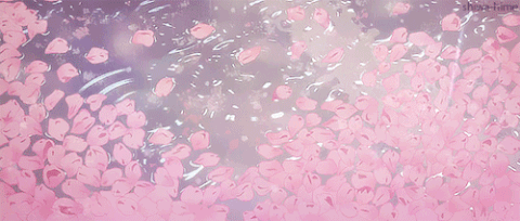 сакура GIF
