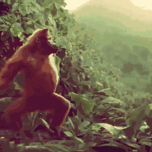 супер GIF