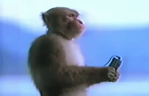 сыс GIF
