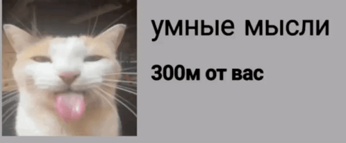 умные мысли 300 метров от вас умные мысли уходят GIF