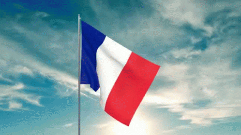 علم فرنسا GIF