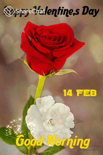 शुभप्रभात सुप्रभात GIF