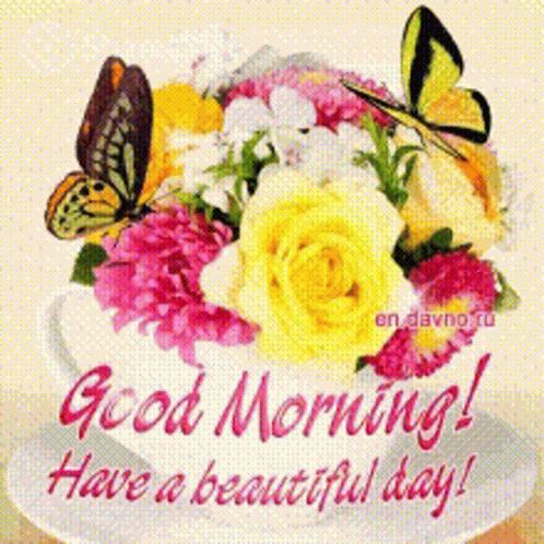 शुभप्रभात सुप्रभात GIF. This 498 x 498 animated GIF is part of our guten morgen und schonen tag collection. Related themes include good morning. Created by…