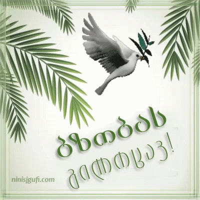 ბზობას გილოცავ GIF