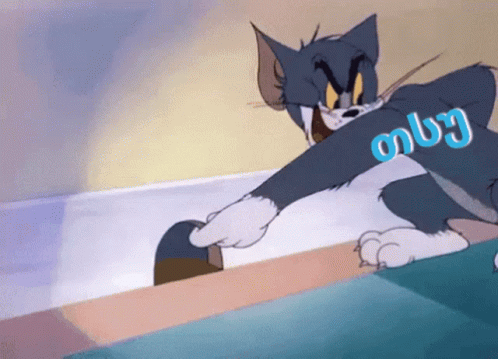 თსუ უნივერსიტეტი GIF