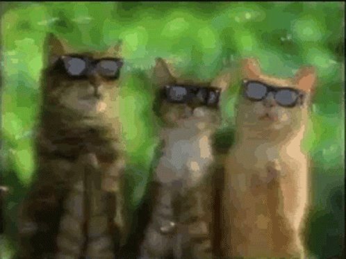 にヤング クレプ Way To Go GIF