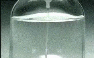 劉若英 René Liu 透明 Transparency GIF