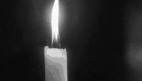 蜡 GIF