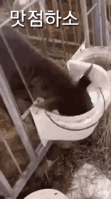 다루 GIF. This 220 x 393 animated GIF is part of our cow milk collection. Created by pej8033. View the original animation, share it, or browse related GIFs.