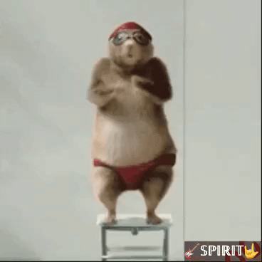 스피릿짤2 GIF