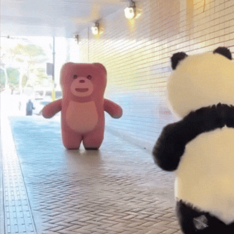 싸움 사랑 GIF