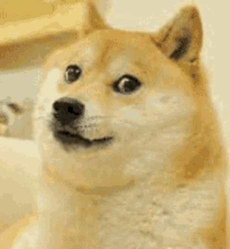 토리킴1234 GIF