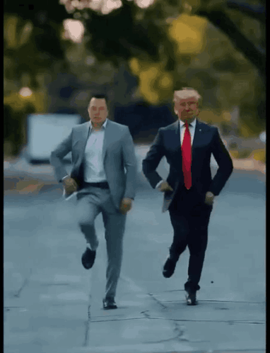 트럼프 일론 GIF