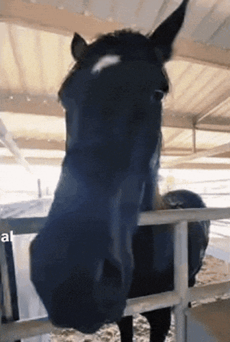 005861 GIF