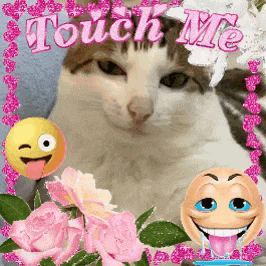 1 GIF