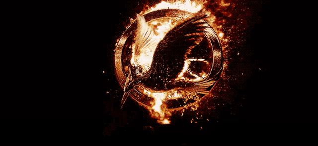 10 GIF