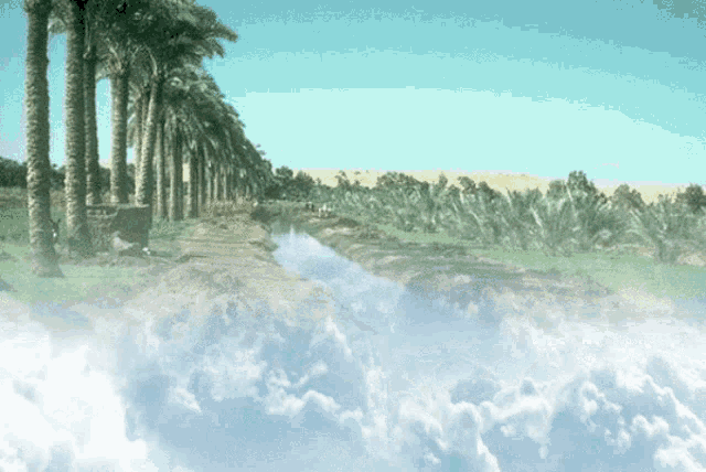 10 GIF