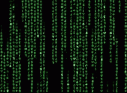 1000 GIF
