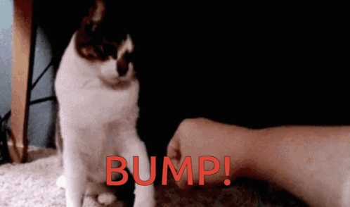 100xchillserver Bump GIF