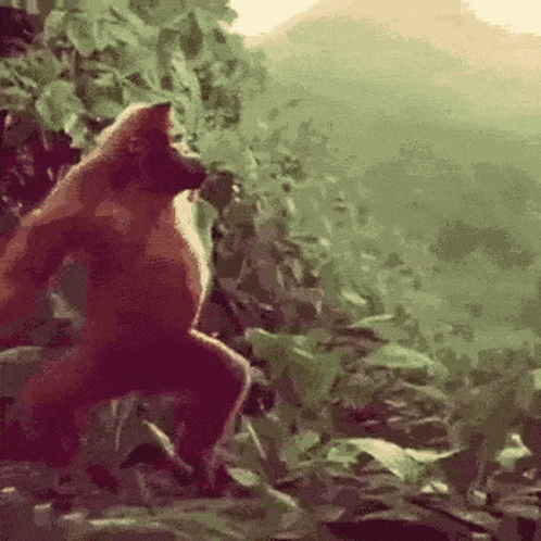 12matt3r Trippy GIF
