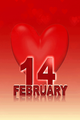 14 Happy Valentine'S Day GIF