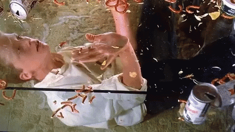 16 Jake GIF. This 480 x 270 animated GIF is part of our long duck dong collection. Related themes include cute. Created by jimmeebufet. View the original…