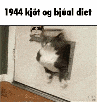1944 Vg GIF
