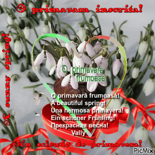 1martie GIF. This 498 x 498 animated GIF is part of our martisor collection. Created by 0741207824. View the original animation, share it, or browse related…