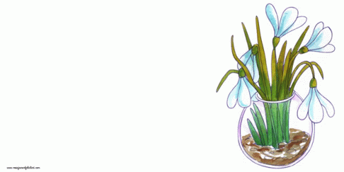 1martie Fericit Ghiocei GIF. This 498 x 249 animated GIF is part of our martisor collection. Created by mesajeurarifelicitari. View the original animation…