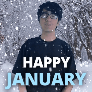 1st Of January First Day Of January GIF