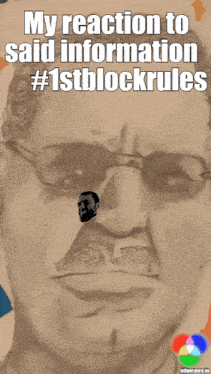 1stblockrules Meow GIF