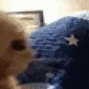 2 GIF