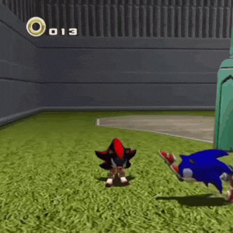 2 Regular Hedgehogs Sonic Adventure 2 GIF