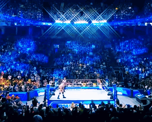 2023 Wwe Smackdown Wrestling GIF. This 498 x 401 animated GIF is part of our edge wrestling collection. Created by BROKENUSMANWWE. View the original…