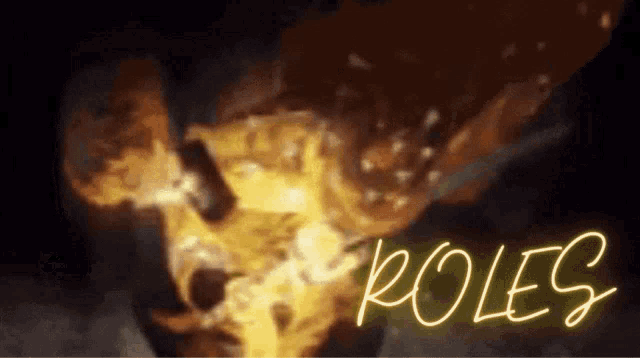 20ch042ds Roles GIF
