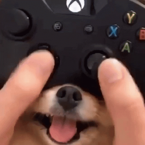 22 GIF