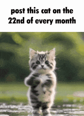 22nd Funny GIF