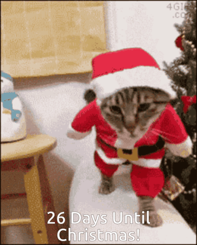 26 Days Until Christmas GIF