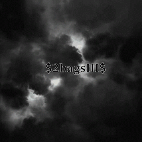2bags GIF