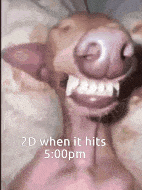 2d Sleeping Dog GIF
