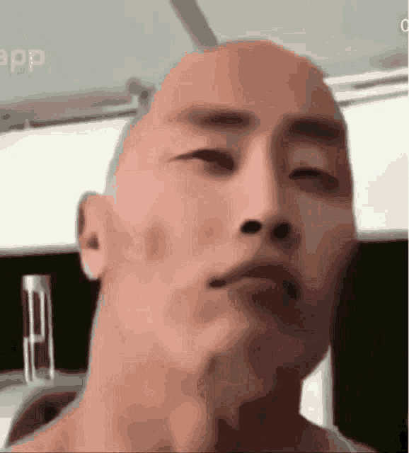31ci Bora Pro Meme